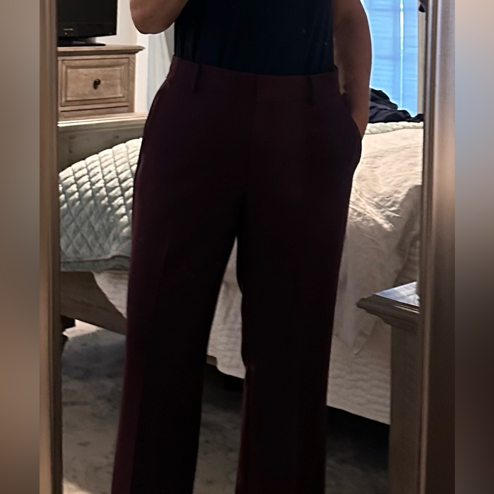 Ann Taylor Deep Burgundy Trousers